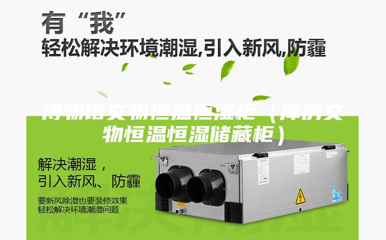 博物館文物恒溫恒濕柜（庫(kù)房文物恒溫恒濕儲(chǔ)藏柜）