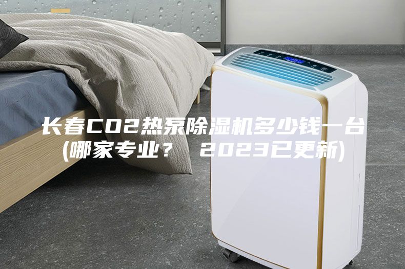 長(zhǎng)春CO2熱泵除濕機(jī)多少錢一臺(tái)(哪家專業(yè)？ 2023已更新)