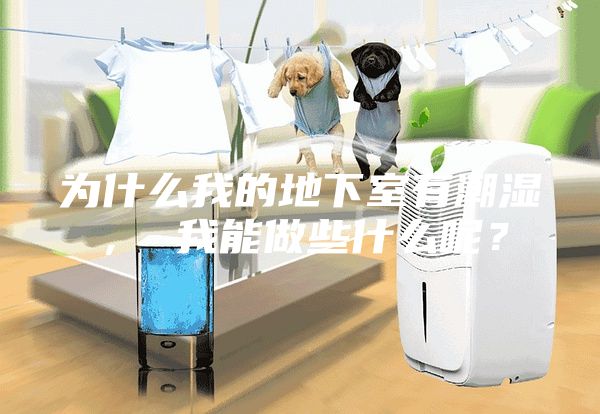 為什么我的地下室有潮濕， 我能做些什么呢？