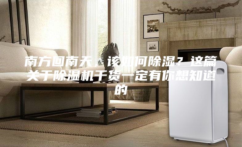 南方回南天，該如何除濕？這篇關(guān)于除濕機(jī)干貨一定有你想知道的