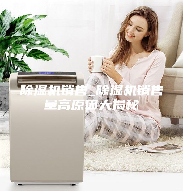 除濕機(jī)銷(xiāo)售_除濕機(jī)銷(xiāo)售量高原因大揭秘
