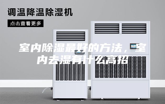 室內(nèi)除濕最好的方法，室內(nèi)去濕有什么高招