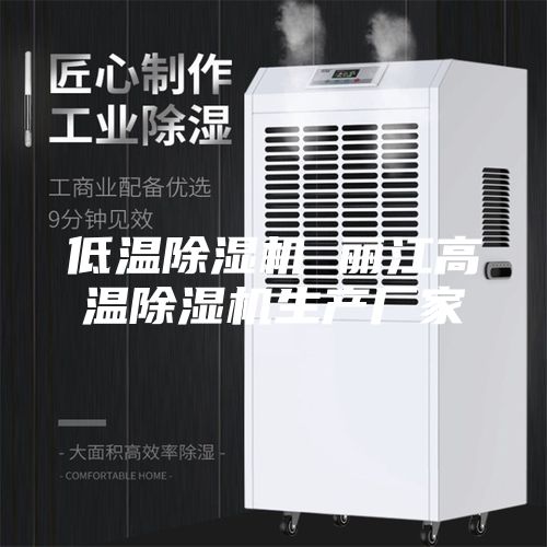 低溫除濕機 麗江高溫除濕機生產廠家