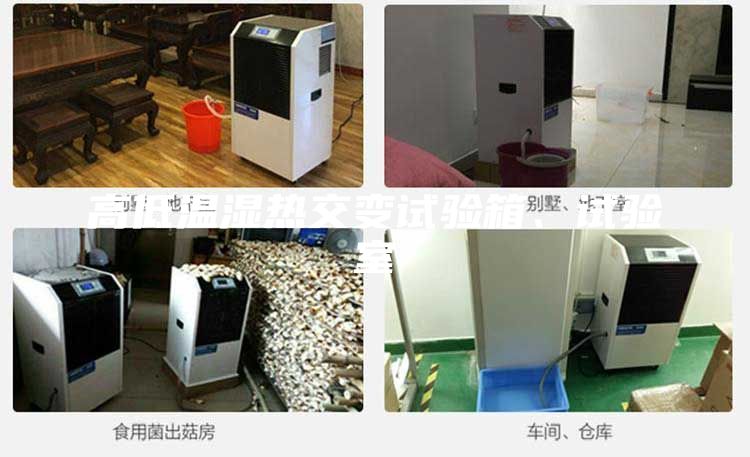 高低溫濕熱交變試驗箱、試驗室