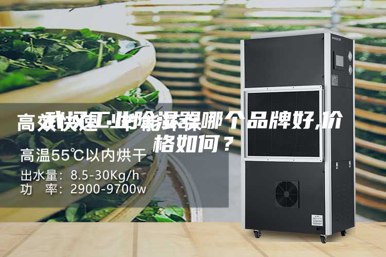 武漢工業除濕器哪個品牌好,價格如何?