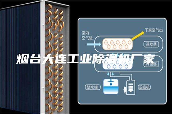 煙臺大連工業(yè)除濕機(jī)廠家