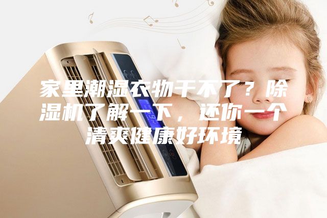 家里潮濕衣物干不了？除濕機了解一下，還你一個清爽健康好環境