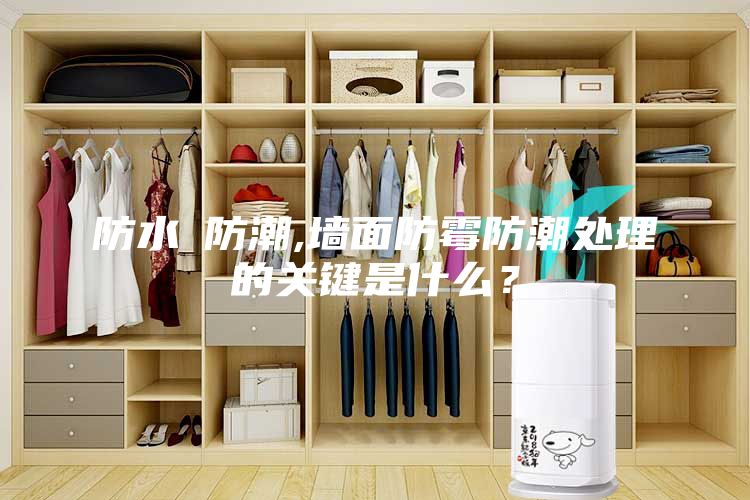 防水≠防潮,墻面防霉防潮處理的關鍵是什么？