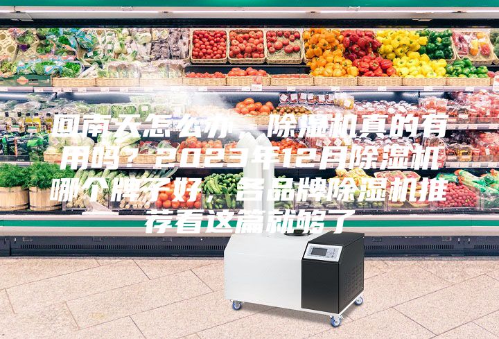 回南天怎么辦,除濕機(jī)真的有用嗎?2023年12月除濕機(jī)哪個(gè)牌子好,各品牌除濕機(jī)推薦看這篇就夠了