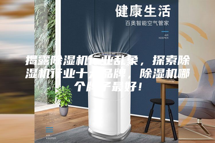 揭露除濕機行業亂象,探索除濕機行業十大品牌,除濕機哪個牌子最好!