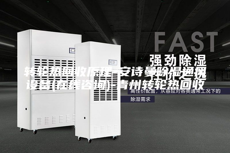轉(zhuǎn)輪熱回收原理-安詩(shī)曼除濕通風(fēng)設(shè)備(在線咨詢)-青州轉(zhuǎn)輪熱回收