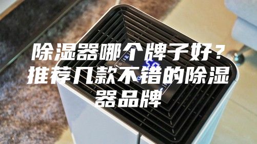 除濕器哪個(gè)牌子好？推薦幾款不錯(cuò)的除濕器品牌