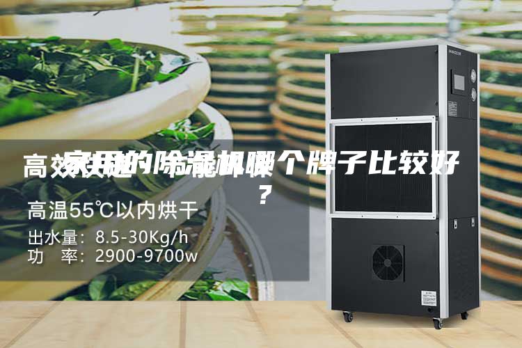 家用的除濕機哪個牌子比較好？