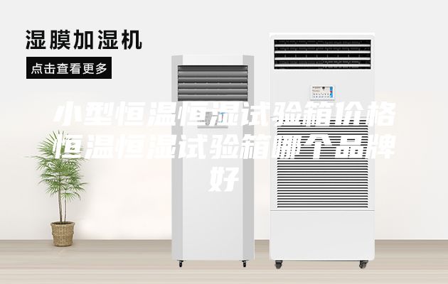 小型恒溫恒濕試驗(yàn)箱價(jià)格恒溫恒濕試驗(yàn)箱哪個(gè)品牌好