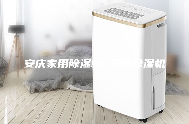 安慶家用除濕機 安慶除濕機