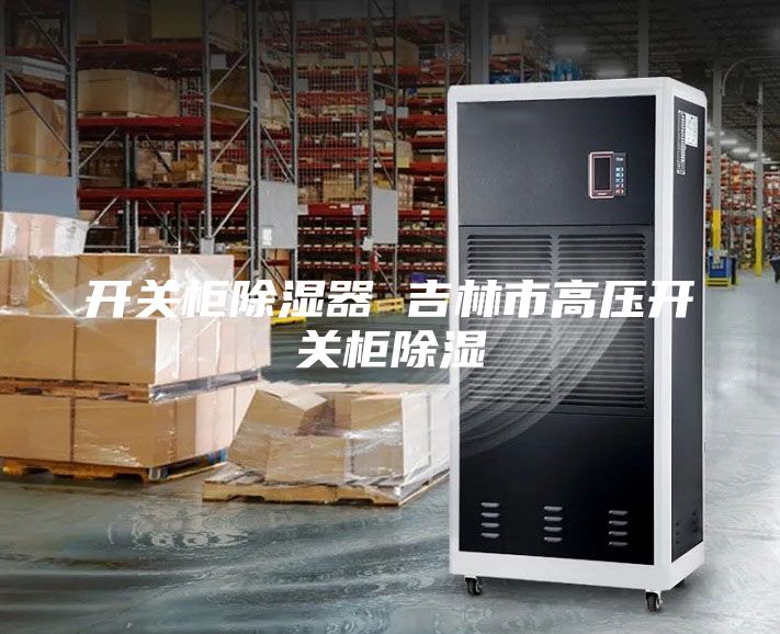 開關(guān)柜除濕器 吉林市高壓開關(guān)柜除濕