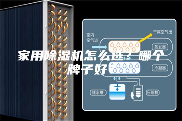 家用除濕機怎么選？哪個牌子好？