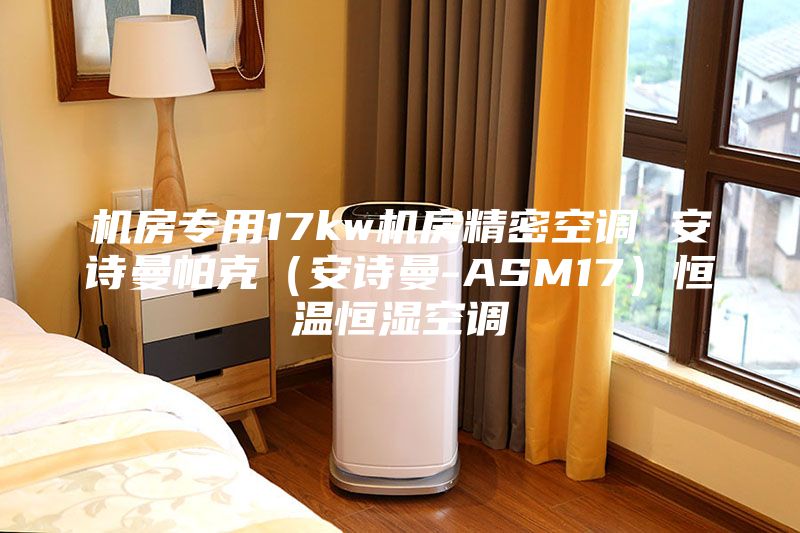 機(jī)房專用17kw機(jī)房精密空調(diào) 安詩(shī)曼帕克（安詩(shī)曼-ASM17）恒溫恒濕空調(diào)