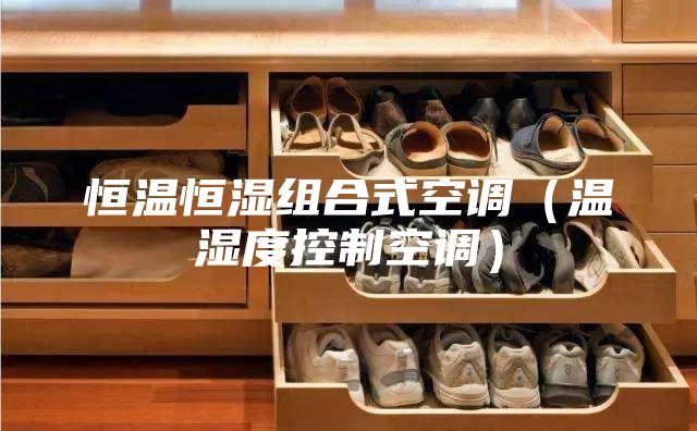 恒溫恒濕組合式空調(diào)（溫濕度控制空調(diào)）