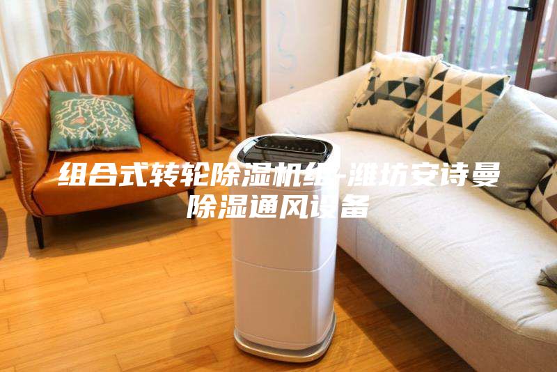 組合式轉輪除濕機組-濰坊安詩曼除濕通風設備