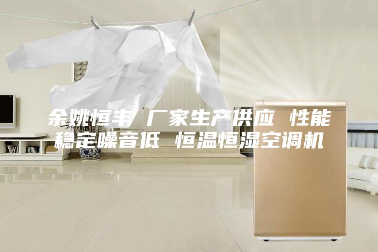 余姚恒豐 廠家生產(chǎn)供應(yīng) 性能穩(wěn)定噪音低 恒溫恒濕空調(diào)機(jī)