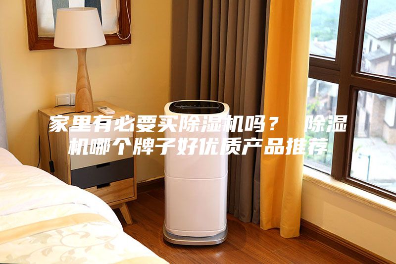 家里有必要買除濕機嗎？ 除濕機哪個牌子好優(yōu)質產品推薦