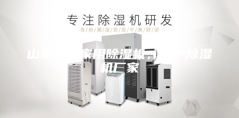 山東濟南家用除濕機，生產除濕機廠家