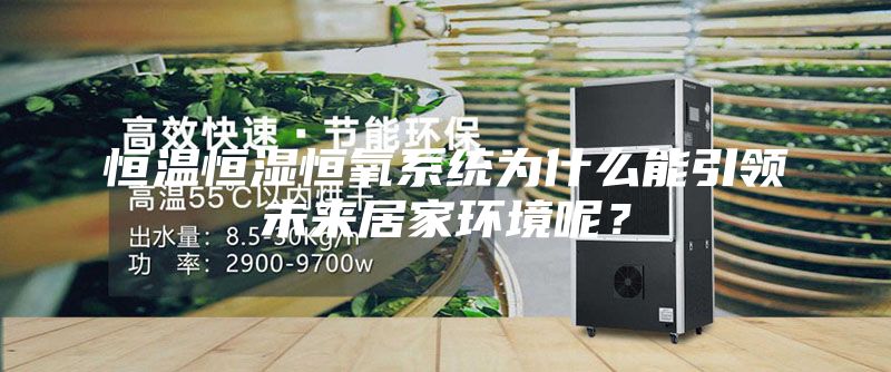 恒溫恒濕恒氧系統為什么能引領未來居家環境呢？
