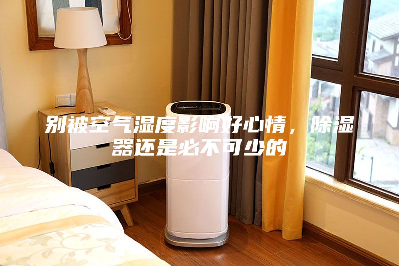 別被空氣濕度影響好心情,除濕器還是必不可少的