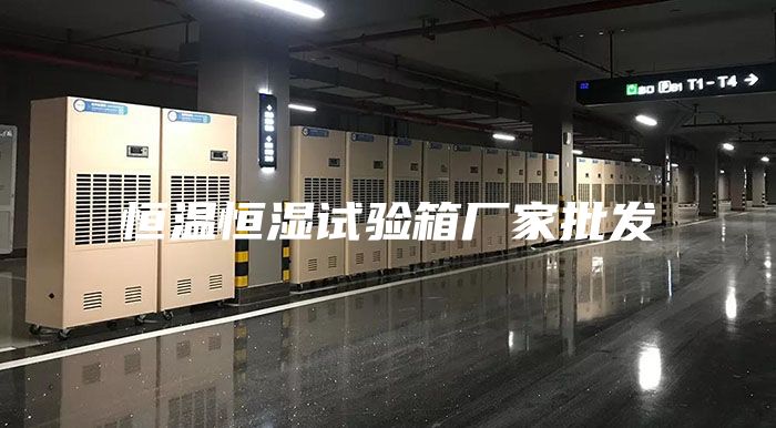 恒溫恒濕試驗箱廠家批發