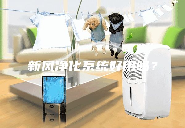 新風凈化系統(tǒng)好用嗎？