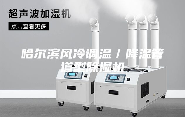 哈爾濱風冷調(diào)溫/降溫管道型除濕機