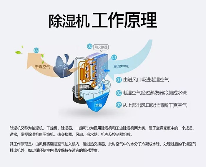 潮濕天氣狗最容易患上這種毛病!三個(gè)注意事項(xiàng),鏟屎官一定要看看