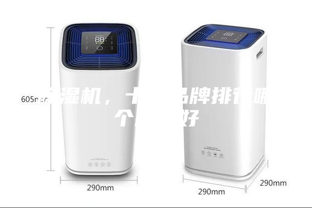 除濕機，十大品牌排行哪個牌子好