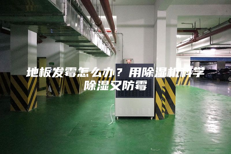 地板發霉怎么辦?用除濕機科學除濕又防霉