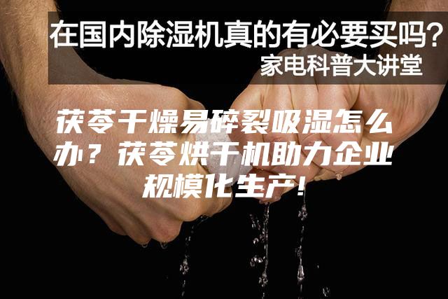 茯苓干燥易碎裂吸濕怎么辦?茯苓烘干機助力企業規模化生產!