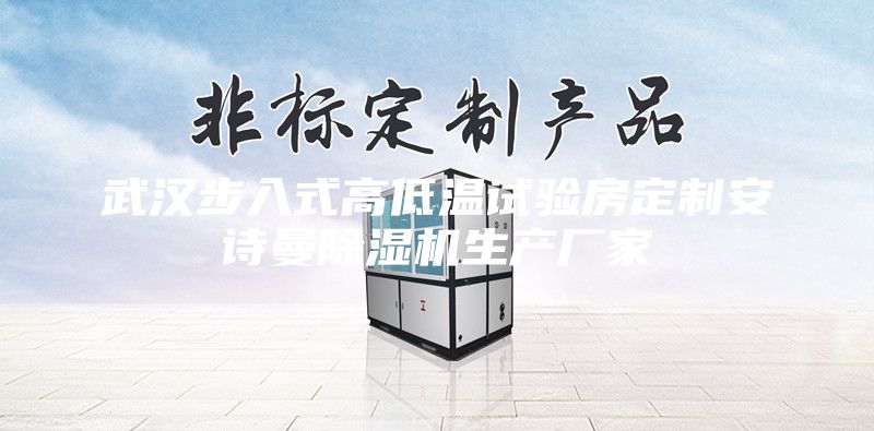 武漢步入式高低溫試驗房定制安詩曼除濕機生產廠家
