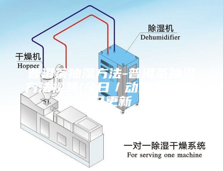 普洱茶抽濕方法-普洱茶抽濕方法視頻(今日／動態)2023已更新