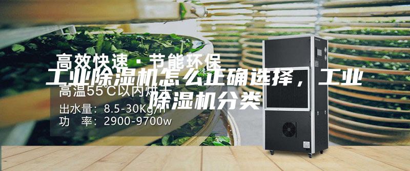 工業除濕機怎么正確選擇，工業除濕機分類