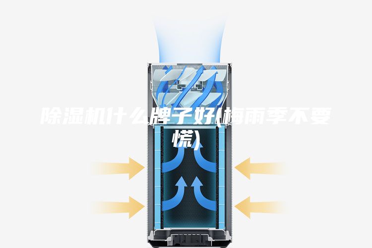 除濕機(jī)什么牌子好(梅雨季不要慌)