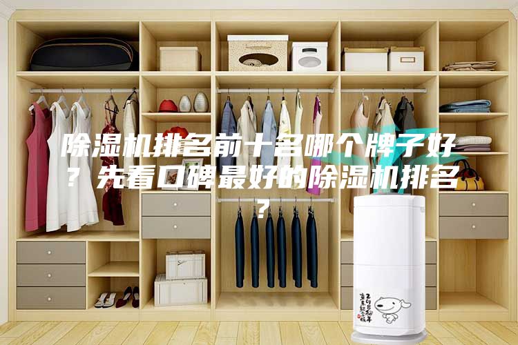 除濕機排名前十名哪個牌子好？先看口碑最好的除濕機排名？