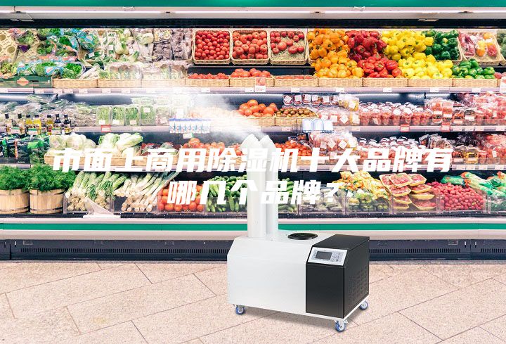 市面上商用除濕機十大品牌有哪幾個品牌？