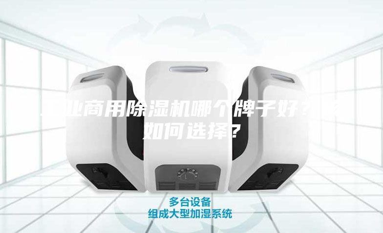 工業商用除濕機哪個牌子好？該如何選擇？