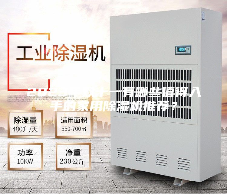 2023年雙十一有哪些值得入手的家用除濕機推薦？