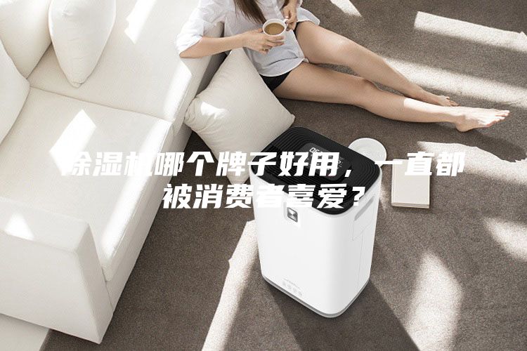 除濕機哪個牌子好用，一直都被消費者喜愛？