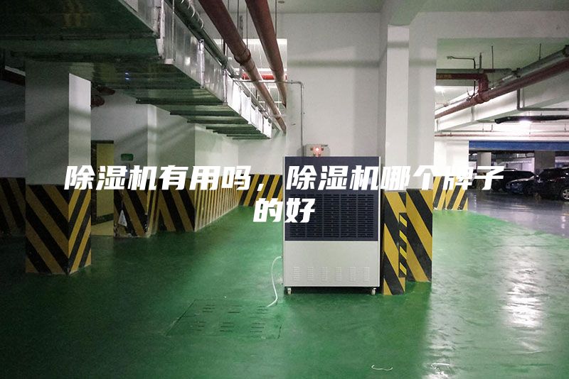 除濕機有用嗎，除濕機哪個牌子的好