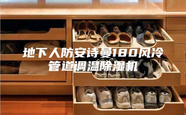 地下人防安詩(shī)曼180風(fēng)冷管道調(diào)溫除濕機(jī)