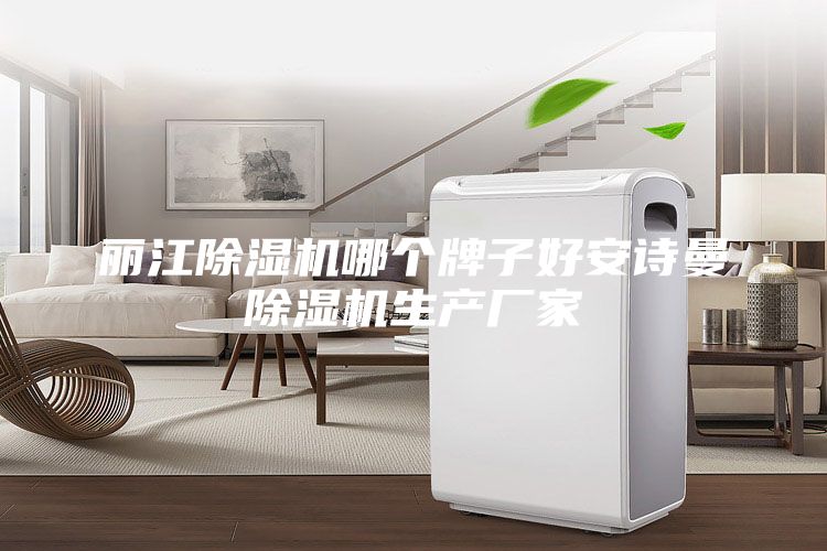 麗江除濕機哪個牌子好安詩曼除濕機生產廠家