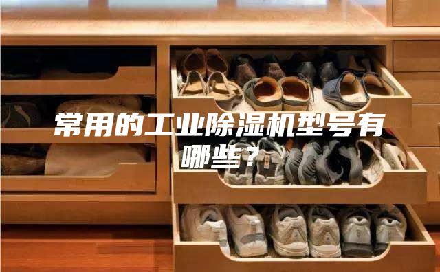 常用的工業除濕機型號有哪些？