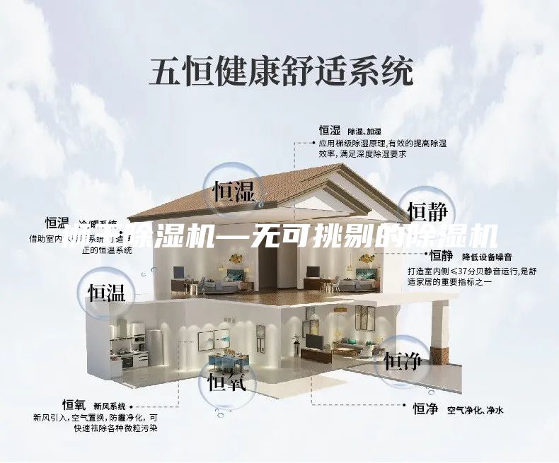 獅王除濕機—無可挑剔的除濕機